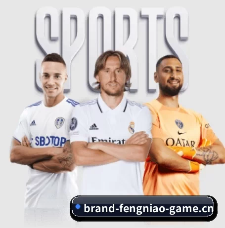 本站五个常用功能入口,赛程查询路径更短 - FENGNIAOESPORTS