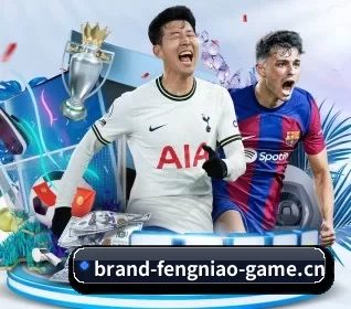 平台愿景 - 长期内容价值积累 - FENGNIAOESPORTS